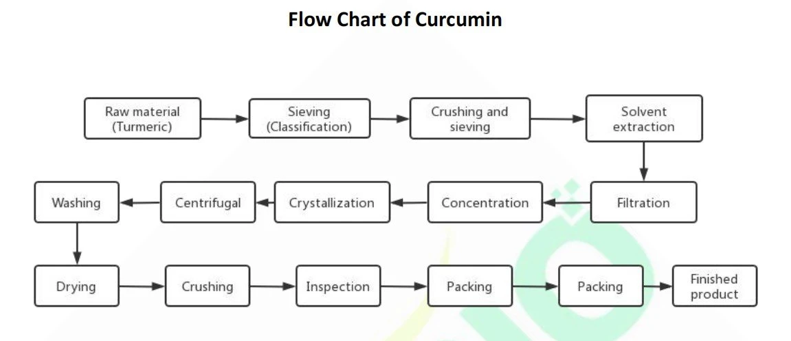 Flow Chart of Curcumin