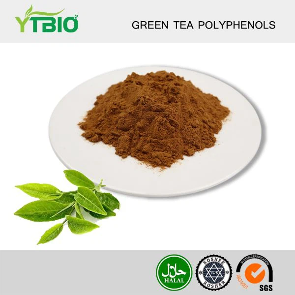 Te Gwyrdd Powdwr Polyphenolau 50%
