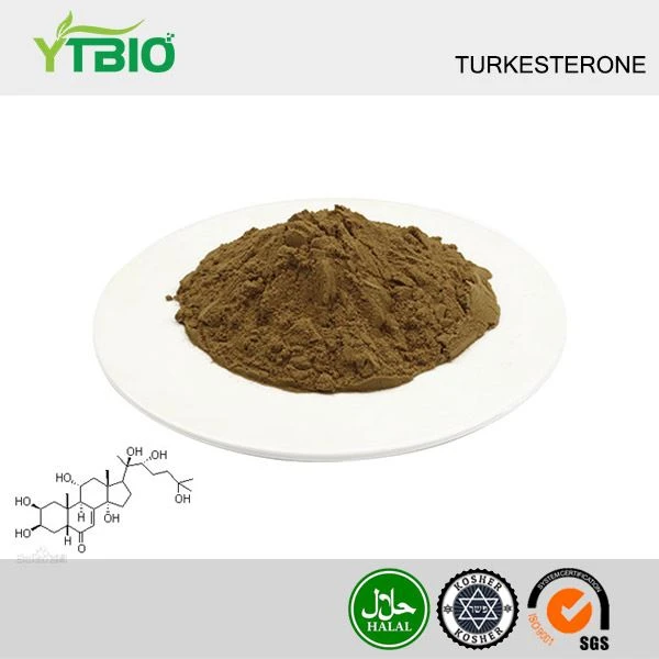 Powdwr Turkesterone