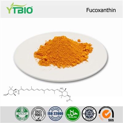 Powdwr Fucoxanthin
