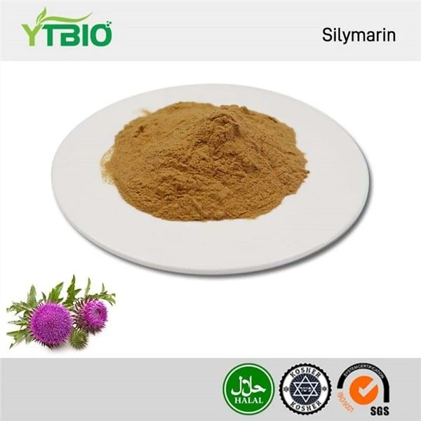 Powdwr Silymarin