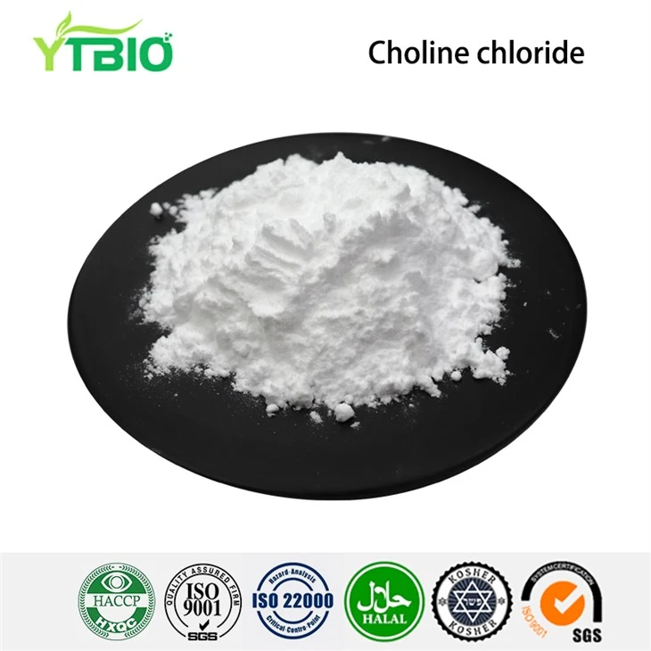 Powdwr Clorid Choline