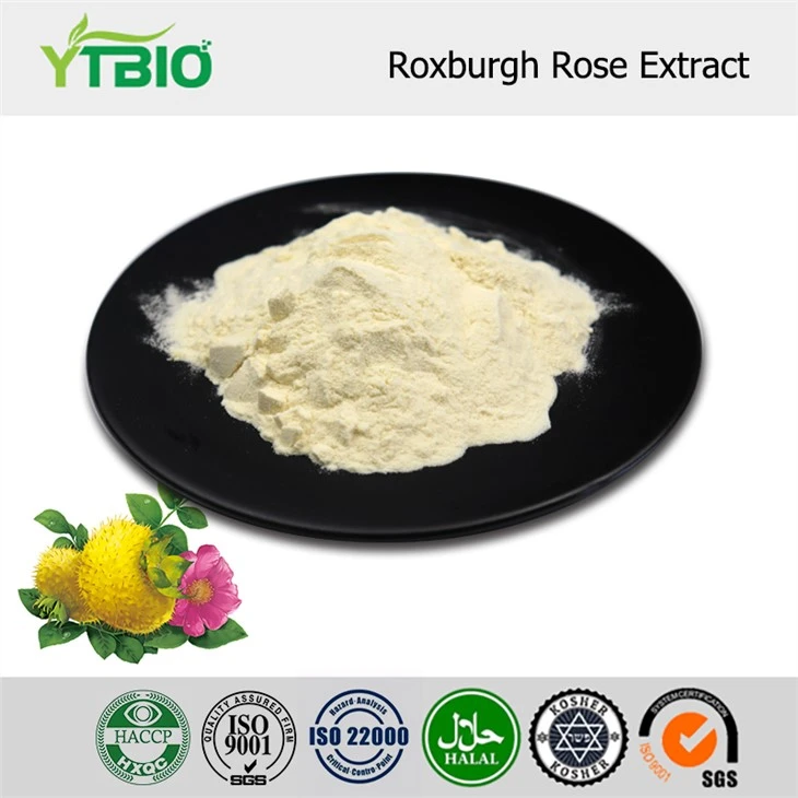 Detholiad Rosa Roxburghii