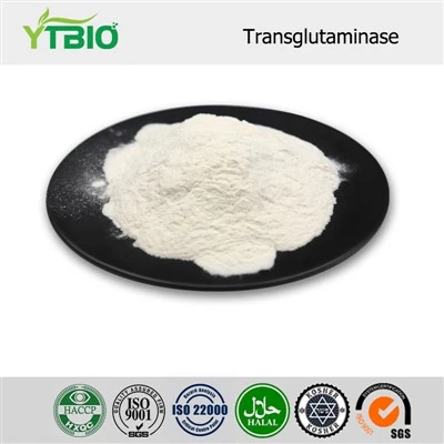 Powdwr Transglutaminase