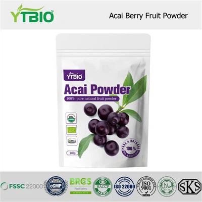 Powdr ffrwythau aeron acai