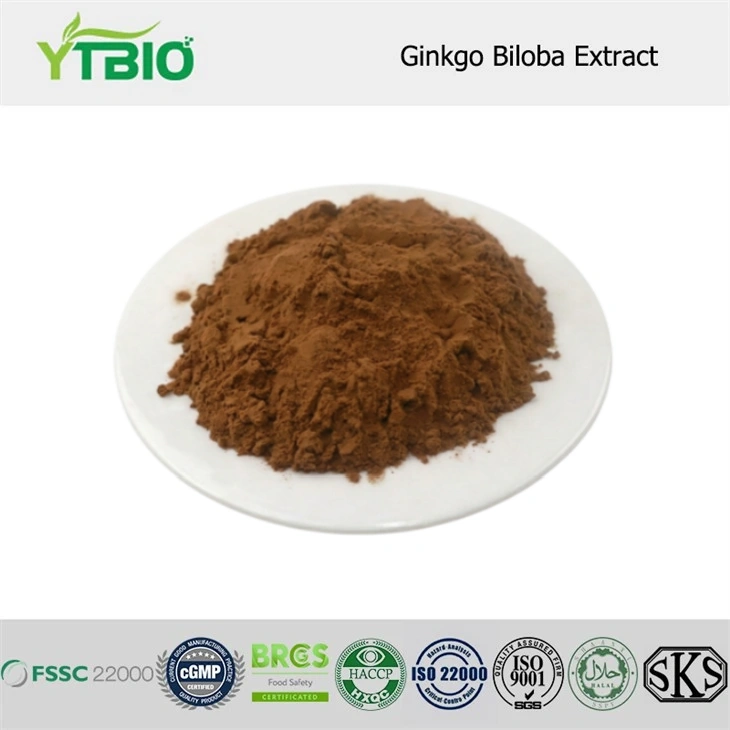 Powdr dyfyniad ginkgo biloba